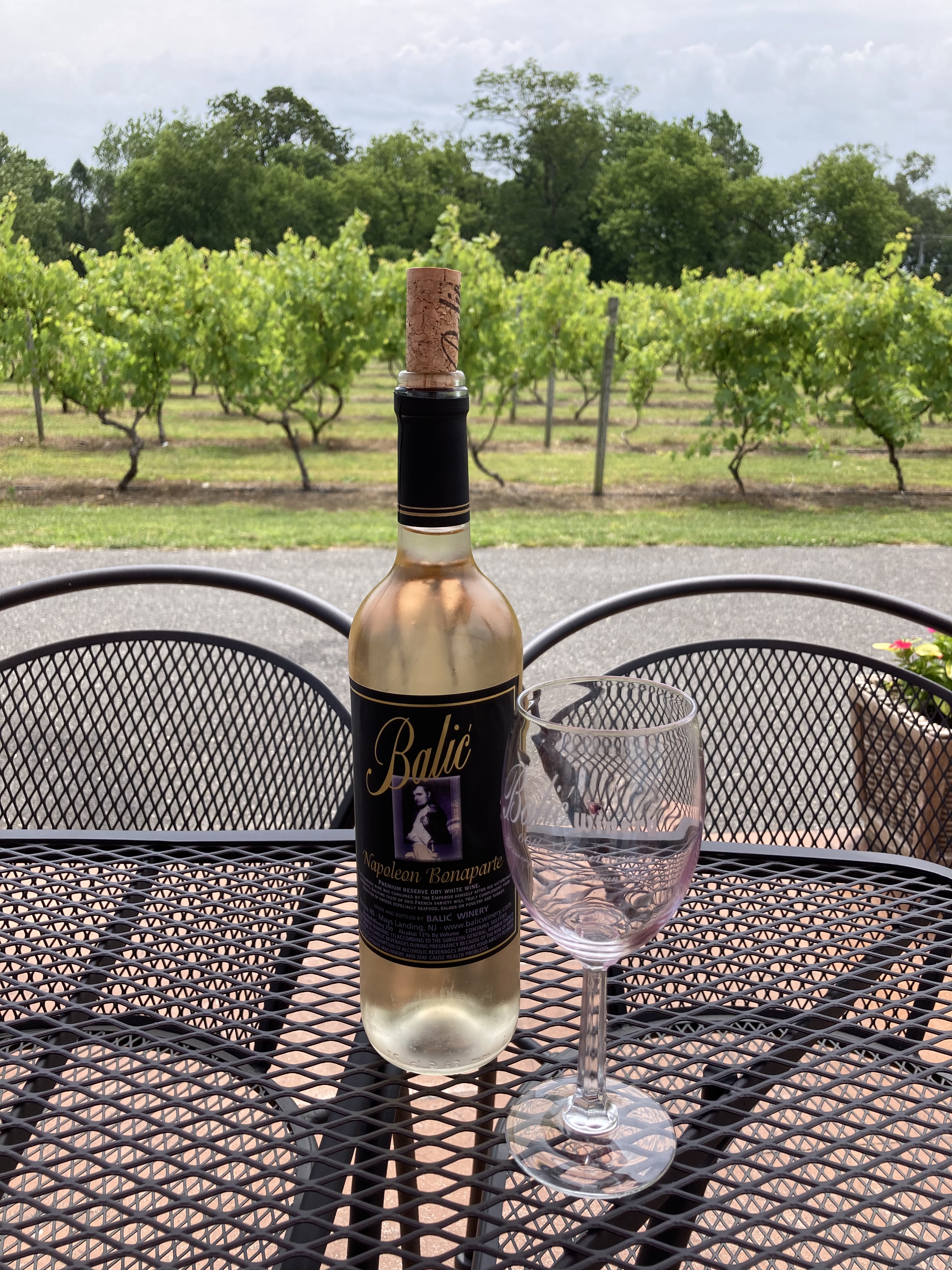 Bottle of wine on metal table, with vineyard in background.