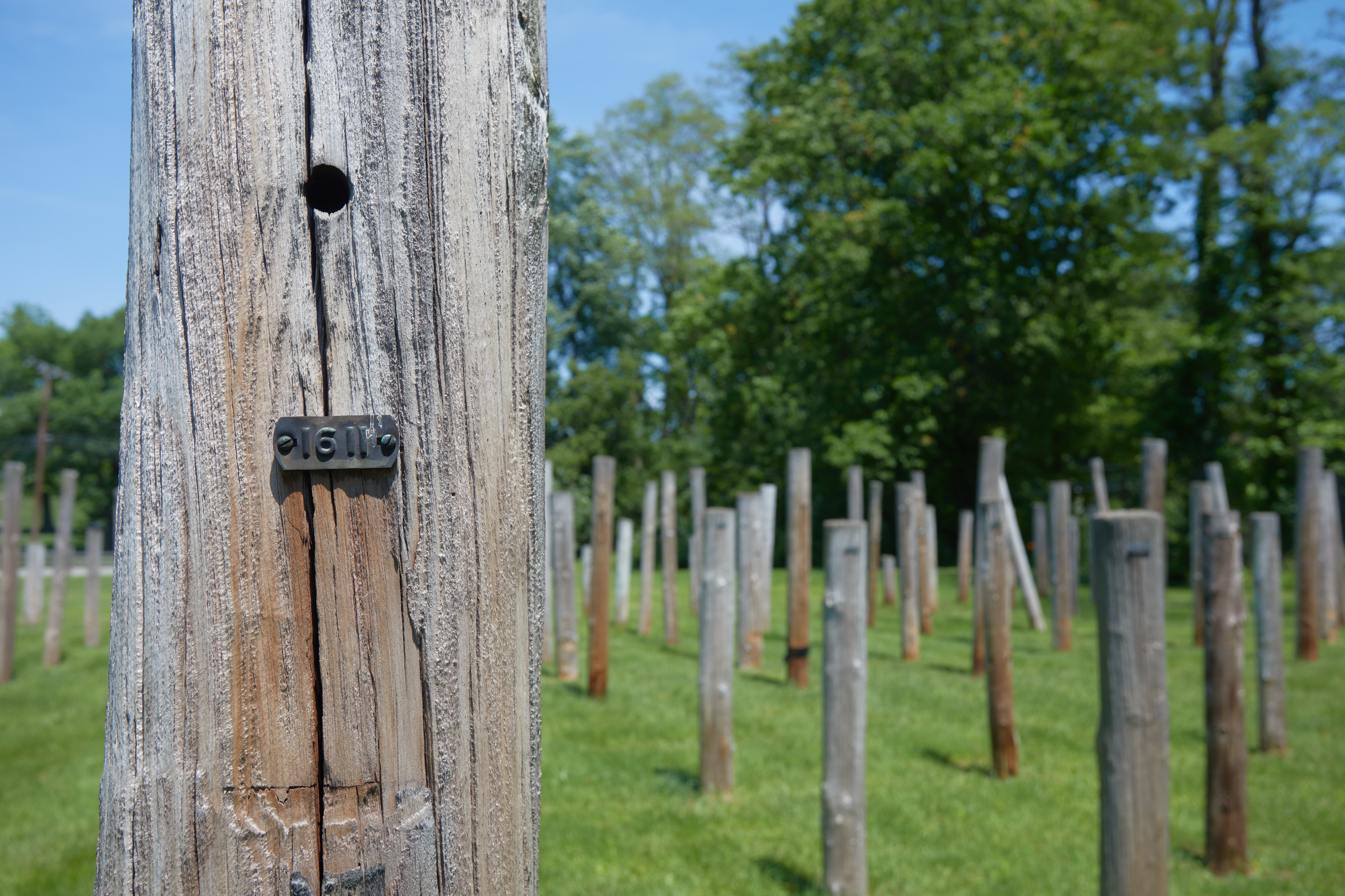 Small metal plate with number 1611 on a telephone pole.