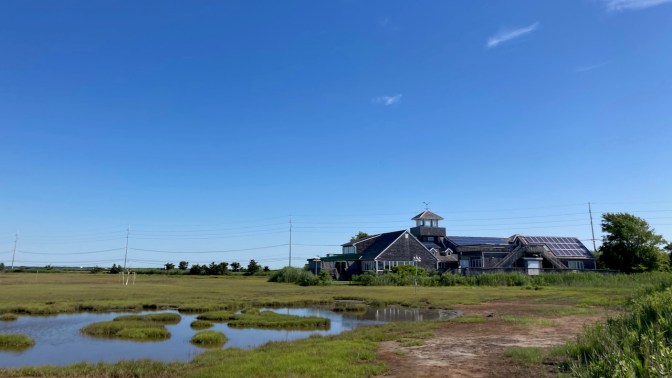 Wetlands Institute, with marshland in foreground.