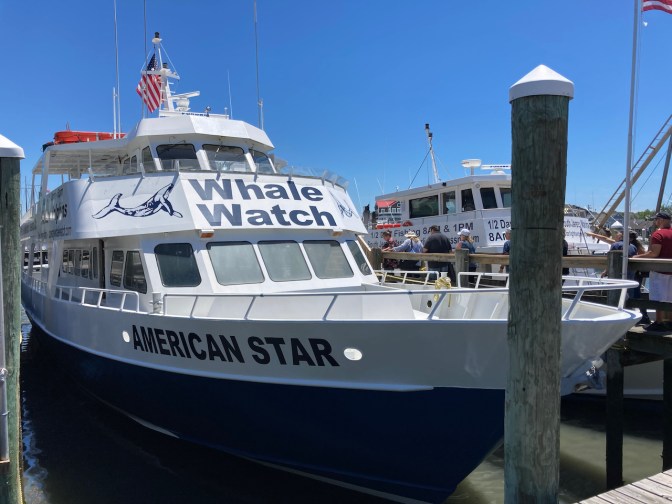 Passenger ship docked at pier.