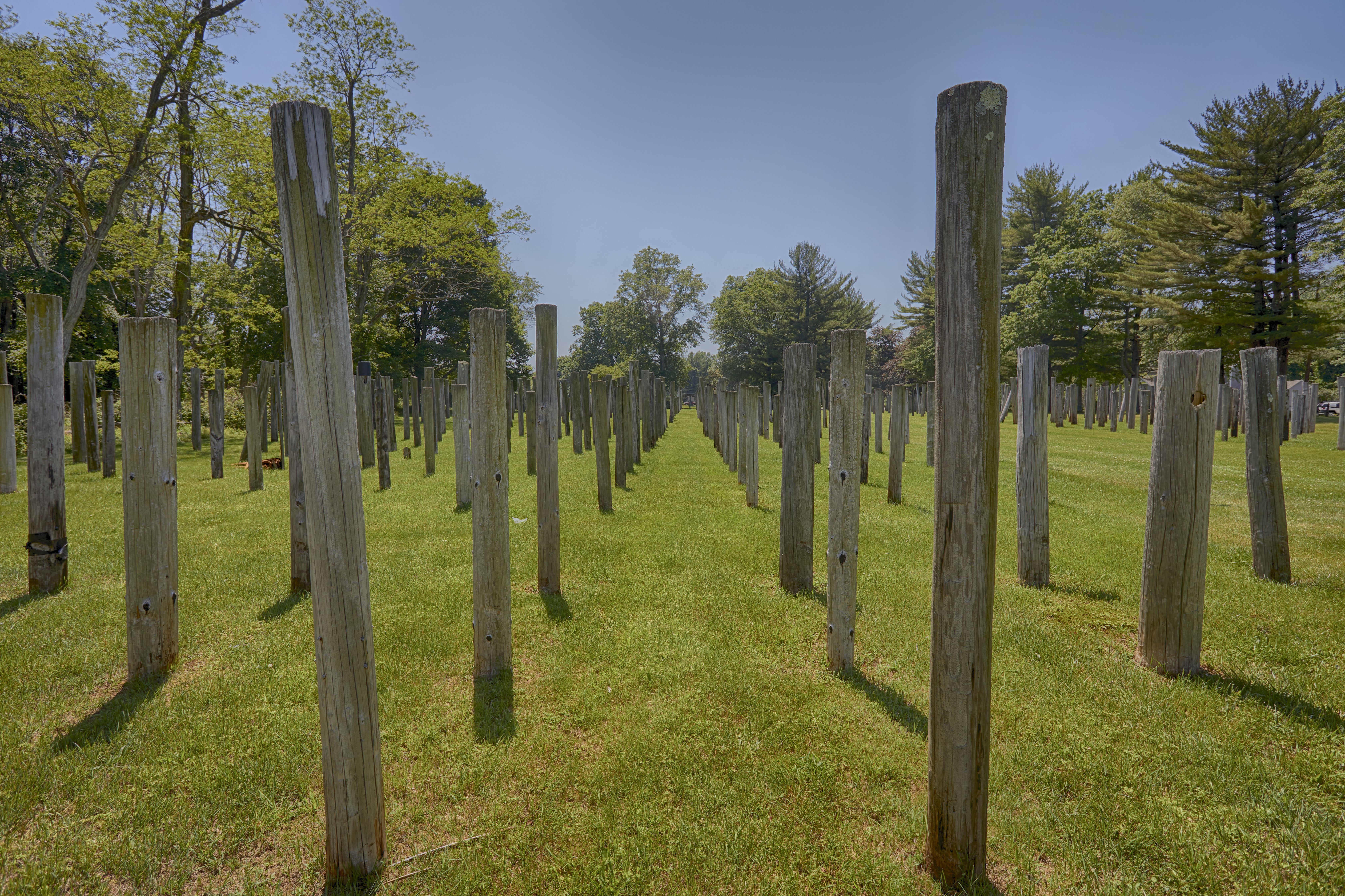 Rows of telephone poles.