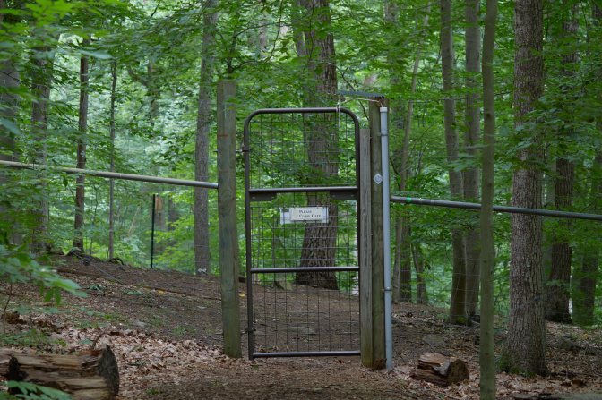 Gate and fence in forest. A sign on the gate says PLEASE CLOSE GATE.