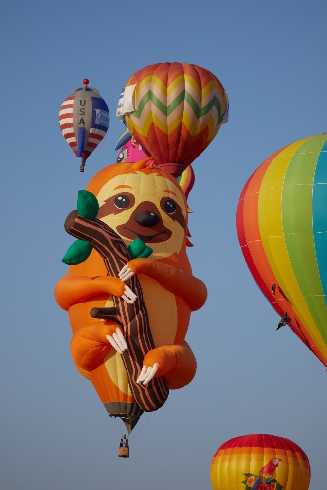 Sloth balloon, surrounded by other multicolored balloons.