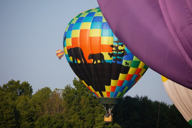 Balloon rising, covered in multicolored pattern, with silhouette of two bears walking.