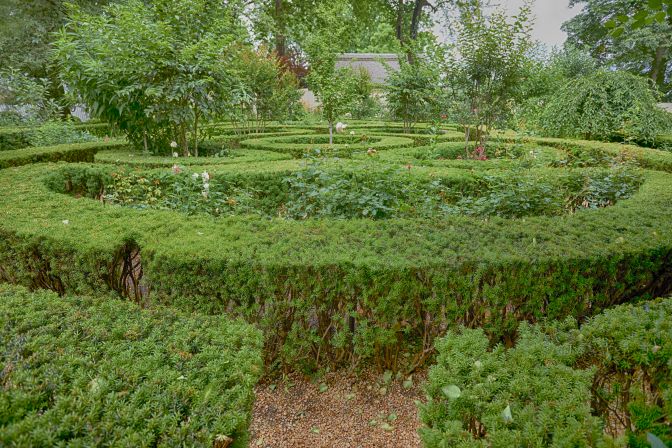 Hedge maze in gardens.