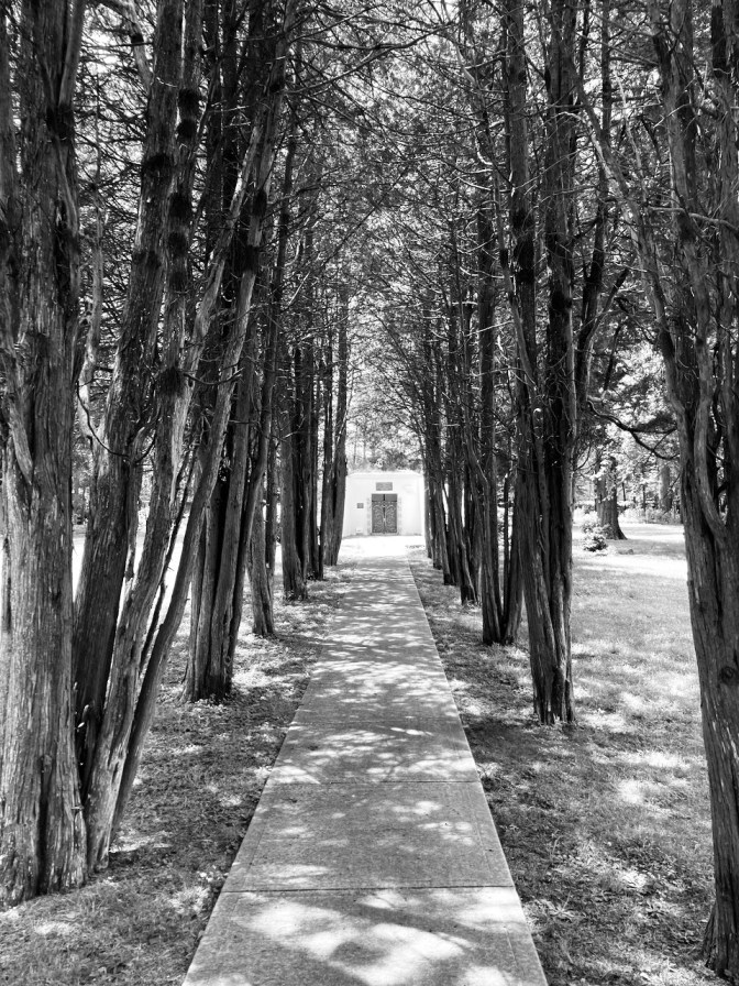 Tree-line path, leading to burial mound.