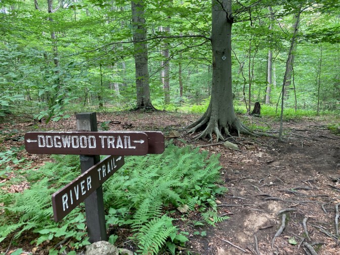 Trail signs for DOGWOOD TRAIL and RIVER TRAIL in forest.