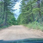 Accidental Adventures.