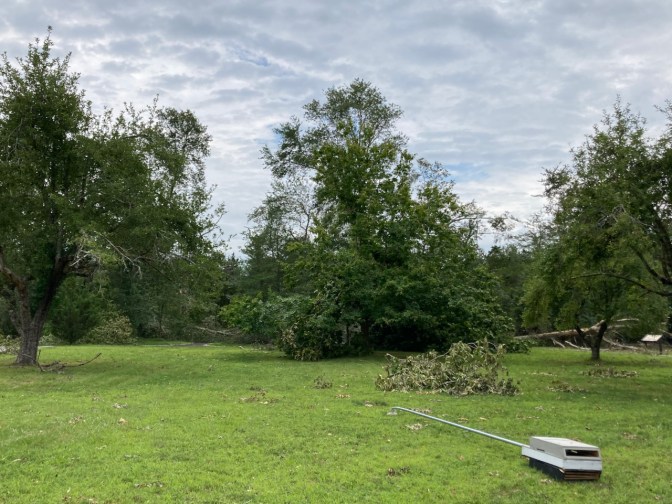 Grassy area with trees, some fallen over, along with a metal pole in foreground lying on the ground.