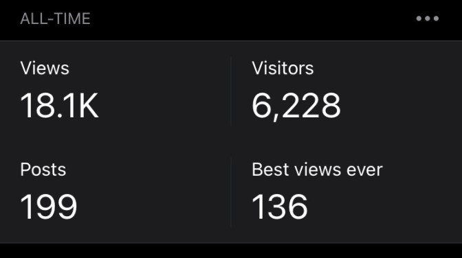 Small box that has statistics for blog that reads VIEWS 18.1K VISITORS 6,228 POSTS 199 BEST VIEWS EVER 136