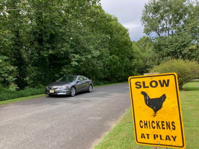 2012 Honda Accord on road, with sign beside road that says SLOW CHICKENS AT PLAY