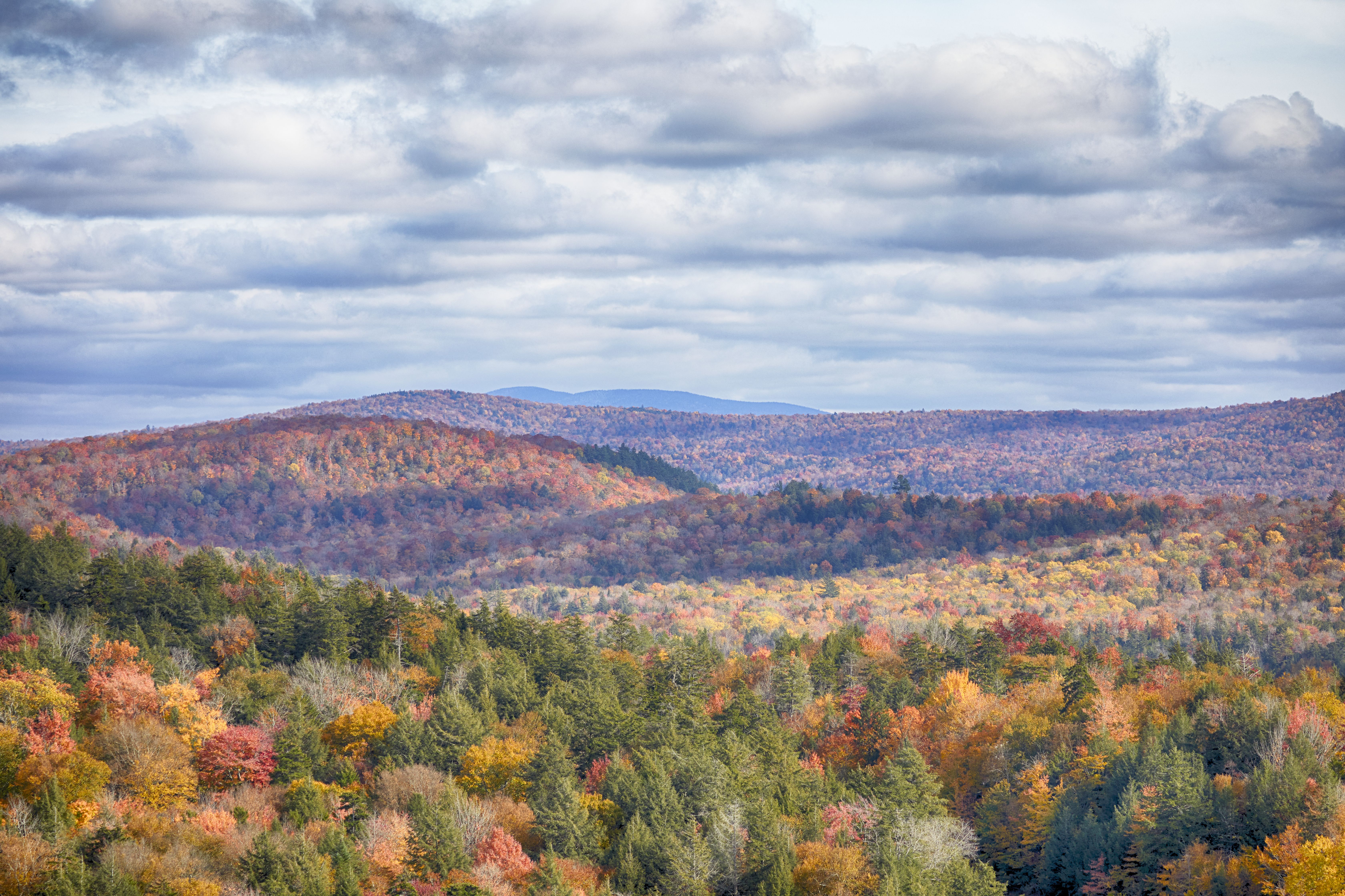 View of mountains covered in trees with colored leaves.