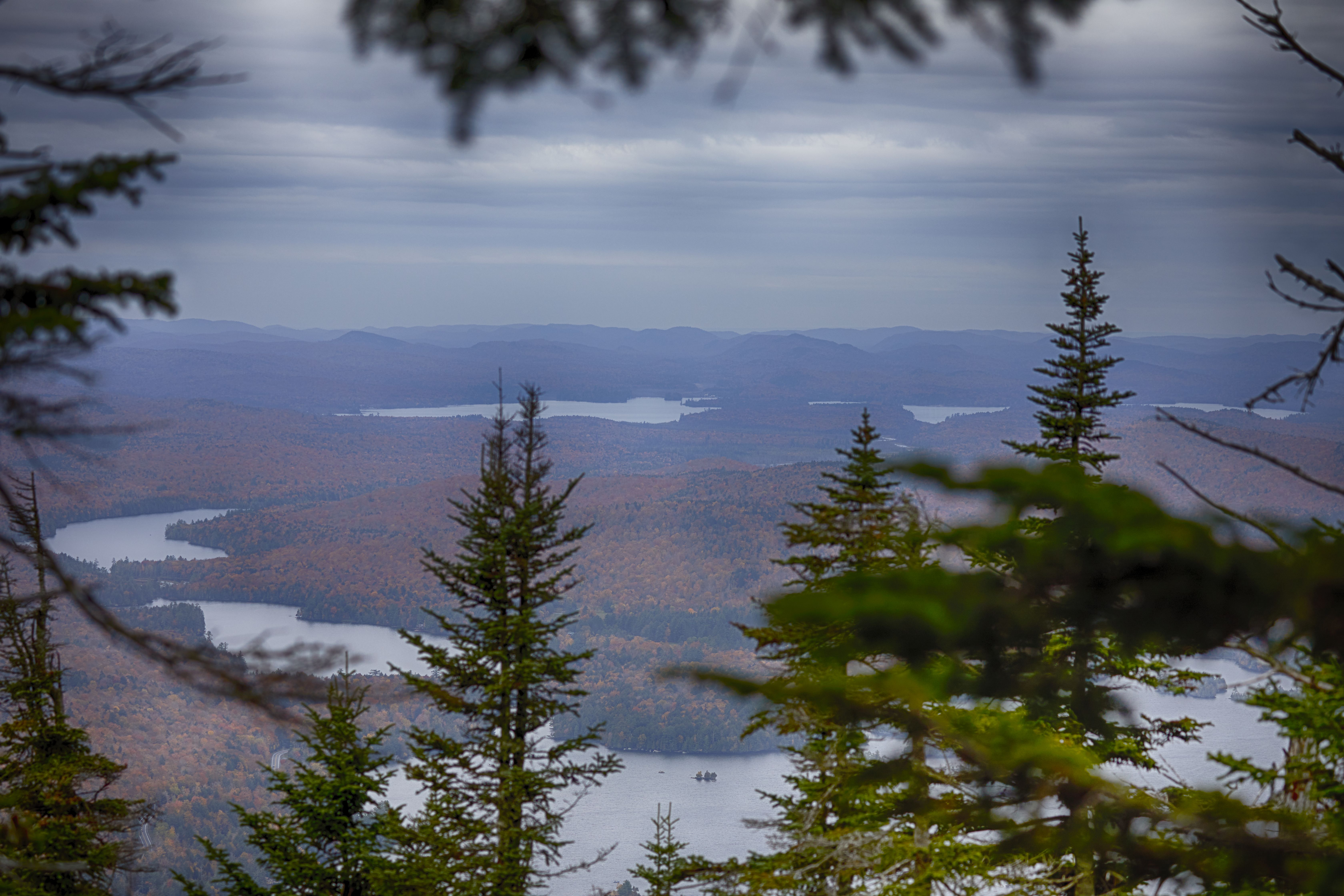 View of lakes and mountains in distance, through tree branches.