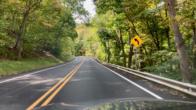 Curving, tree-lined road.