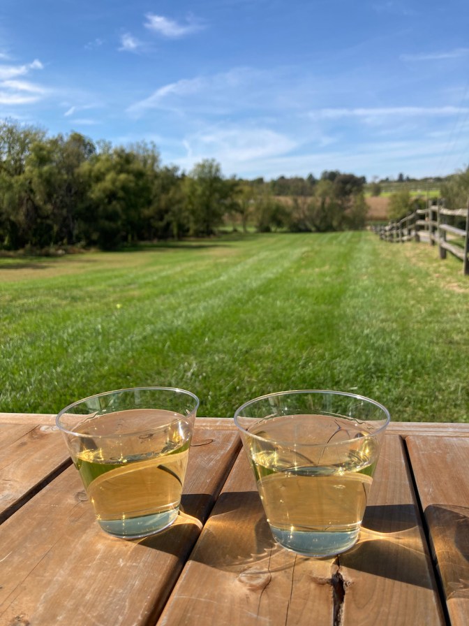 Two glasses of wine on picnic table at Unionville Vineyards. 