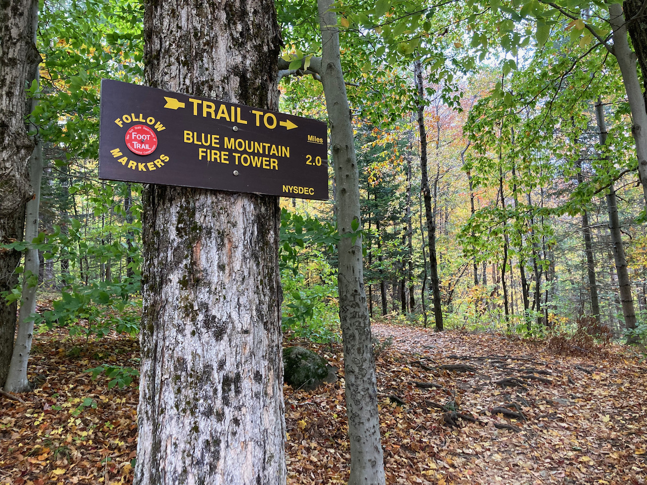 Trail marker that reads TRAIL TO BLUE MOUNTAIN FIRE TOWER 2.0 MILES.