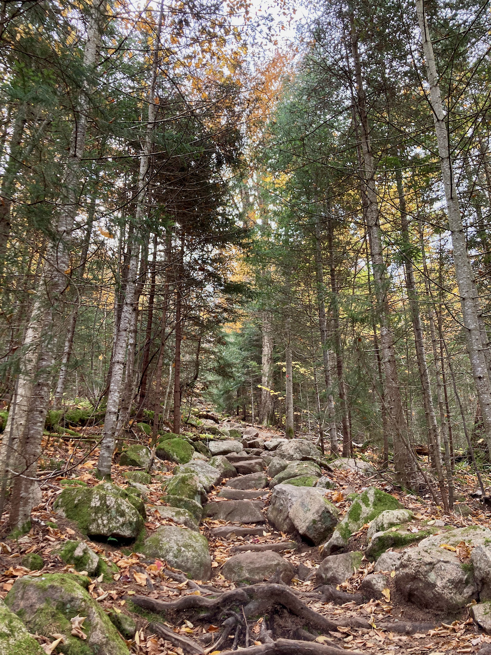 Rocky hillside, with steps carved into rockface.