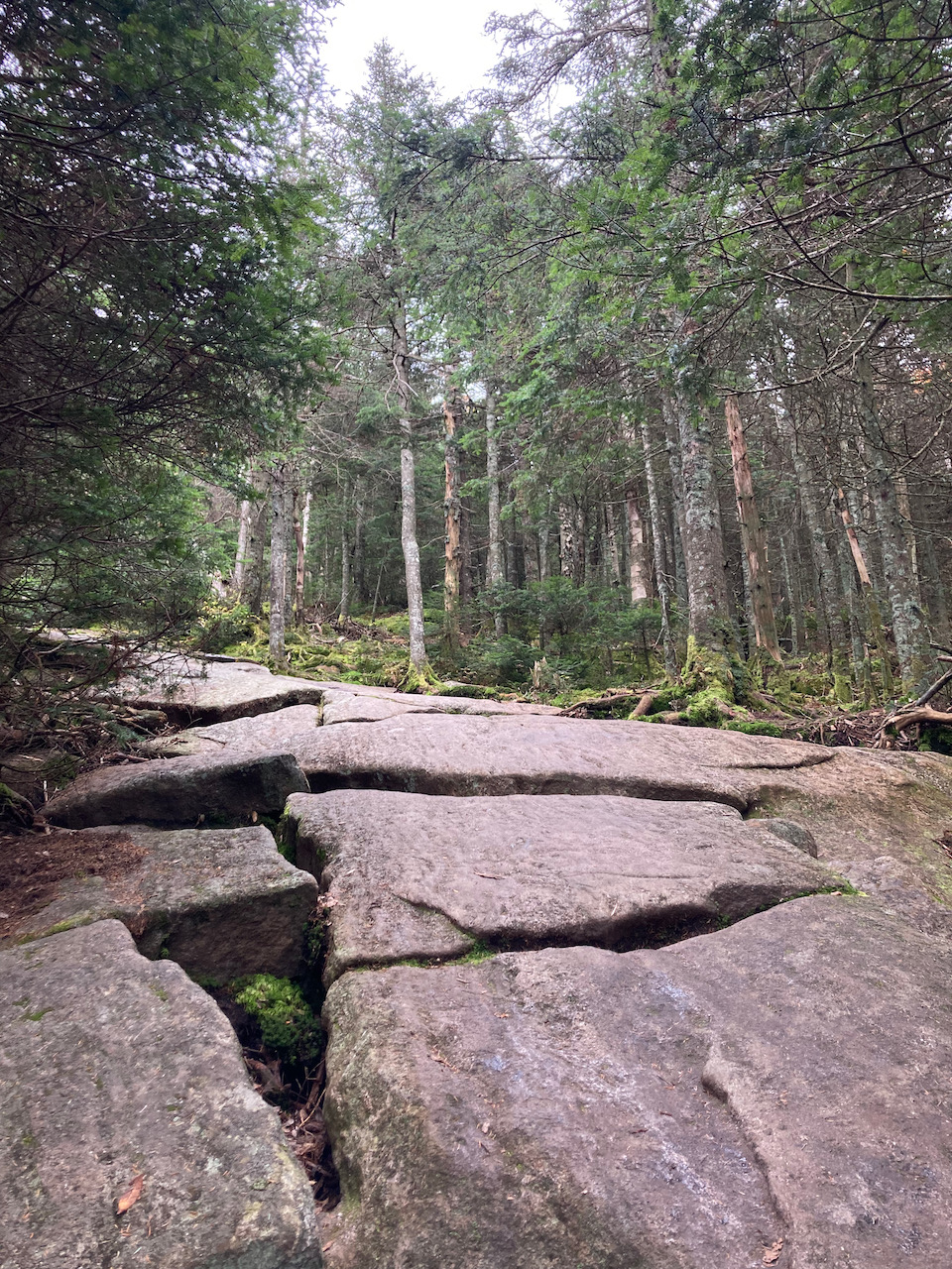 Bare rockface hillside.