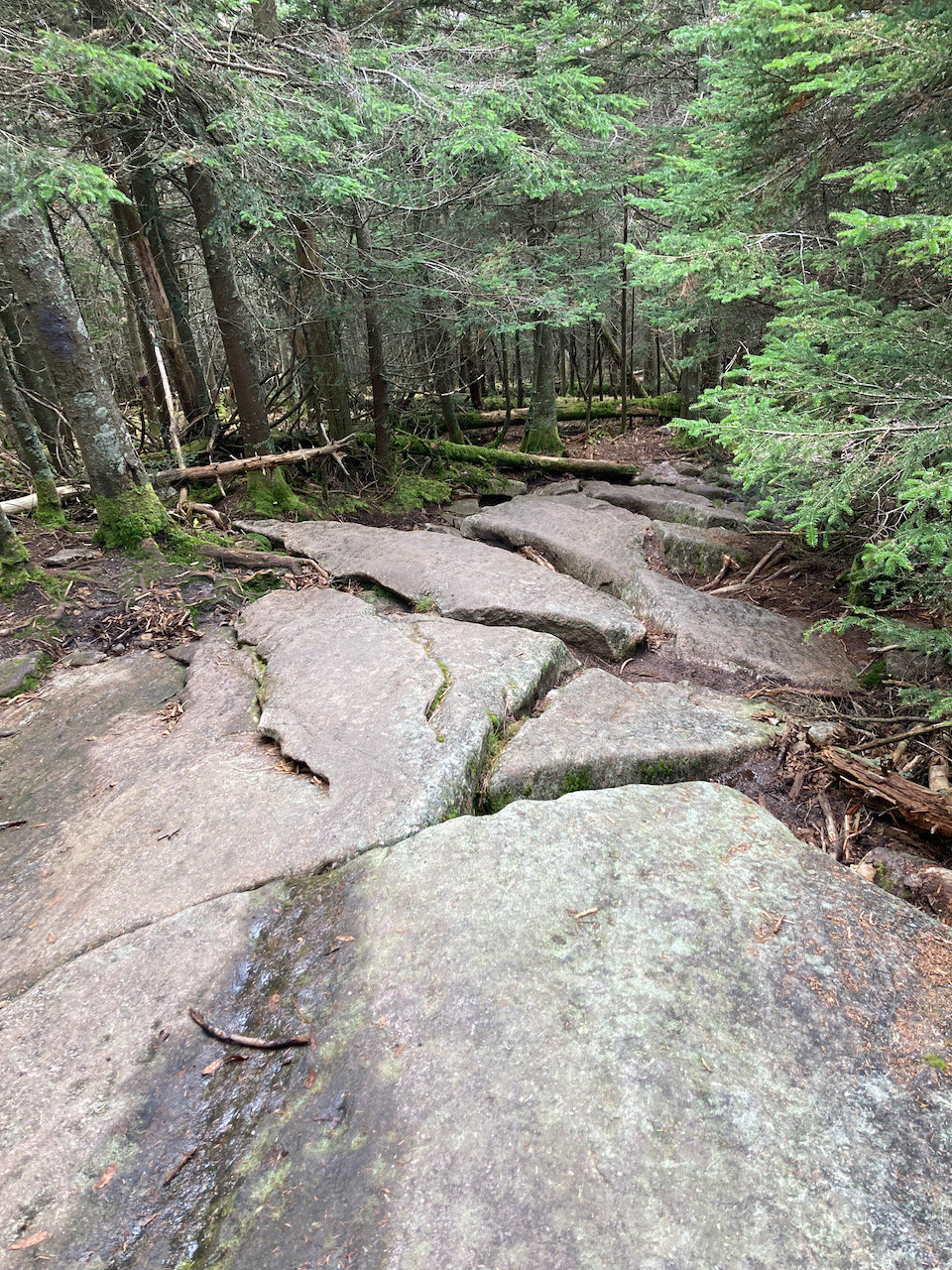 View of broken rocks along the trail, facing downhill.
