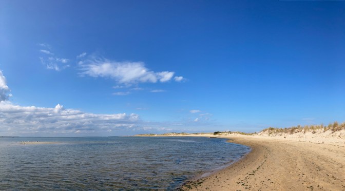 Beach at Cape Henlopen State Park. 