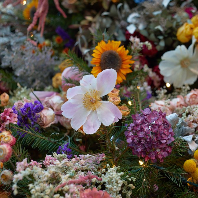 Close-up of dried flowers on Christmas tree. 
