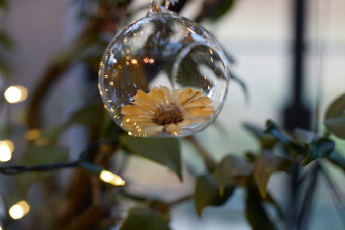 Glass Christmas ornament with flower inside of it. 