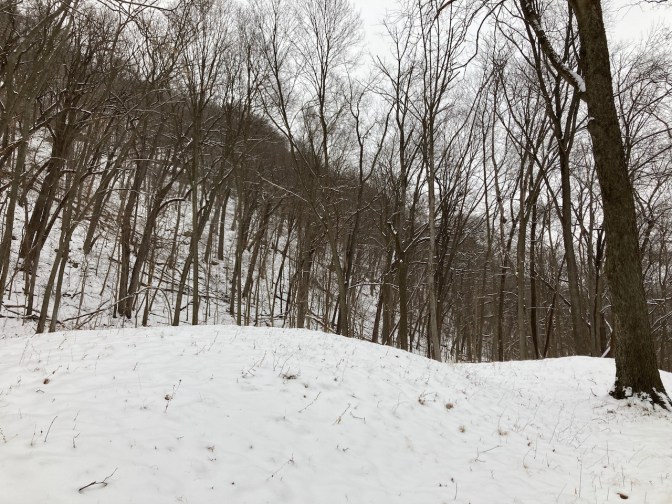 Mound on ground, with snow-covered hilltop in background.