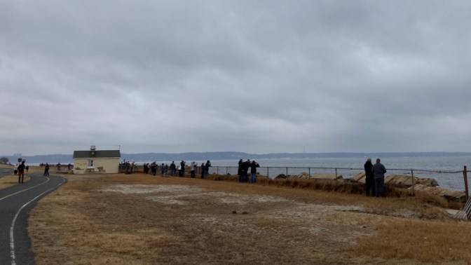 Crowds of people along shoreline, watching seals.