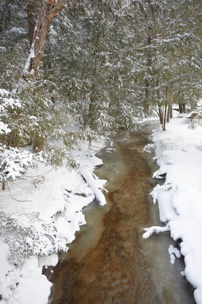Creek with banks covered in snow, and snow on trees on either side of creek.