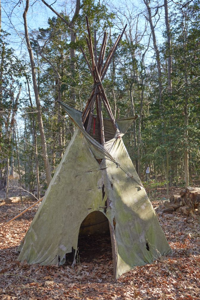 Teepee in forest clearing.