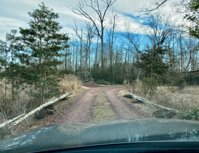 Dirt and gravel road through woods.