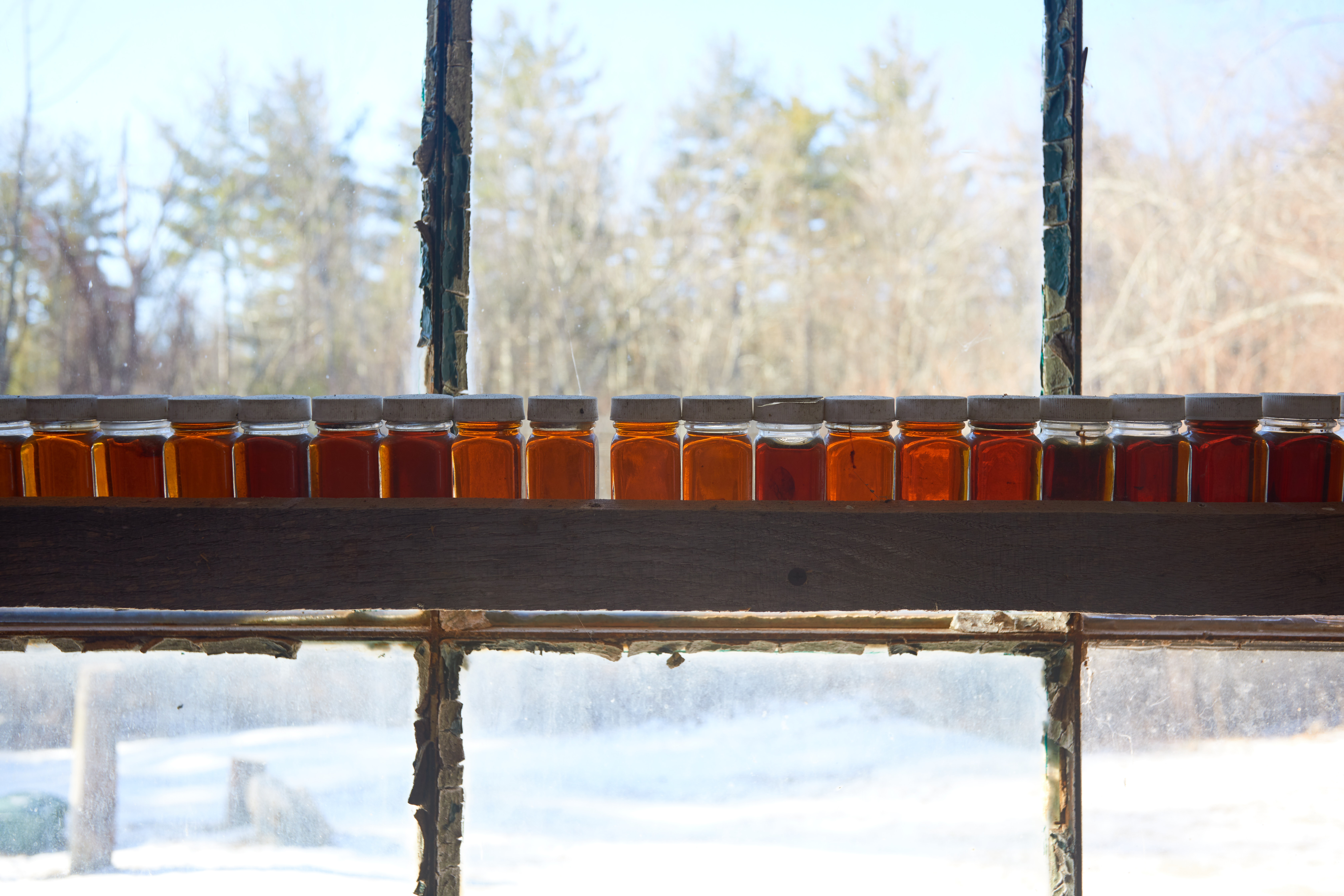 Small jars of maple syrup of various colors on shelf by window.