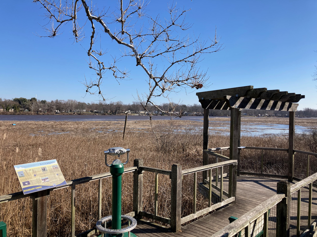 Viewing platform along Rancocas Creek.