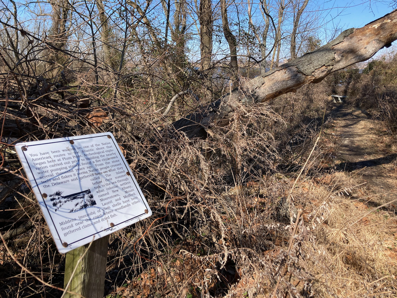 Trail through woods, with sign beside it.