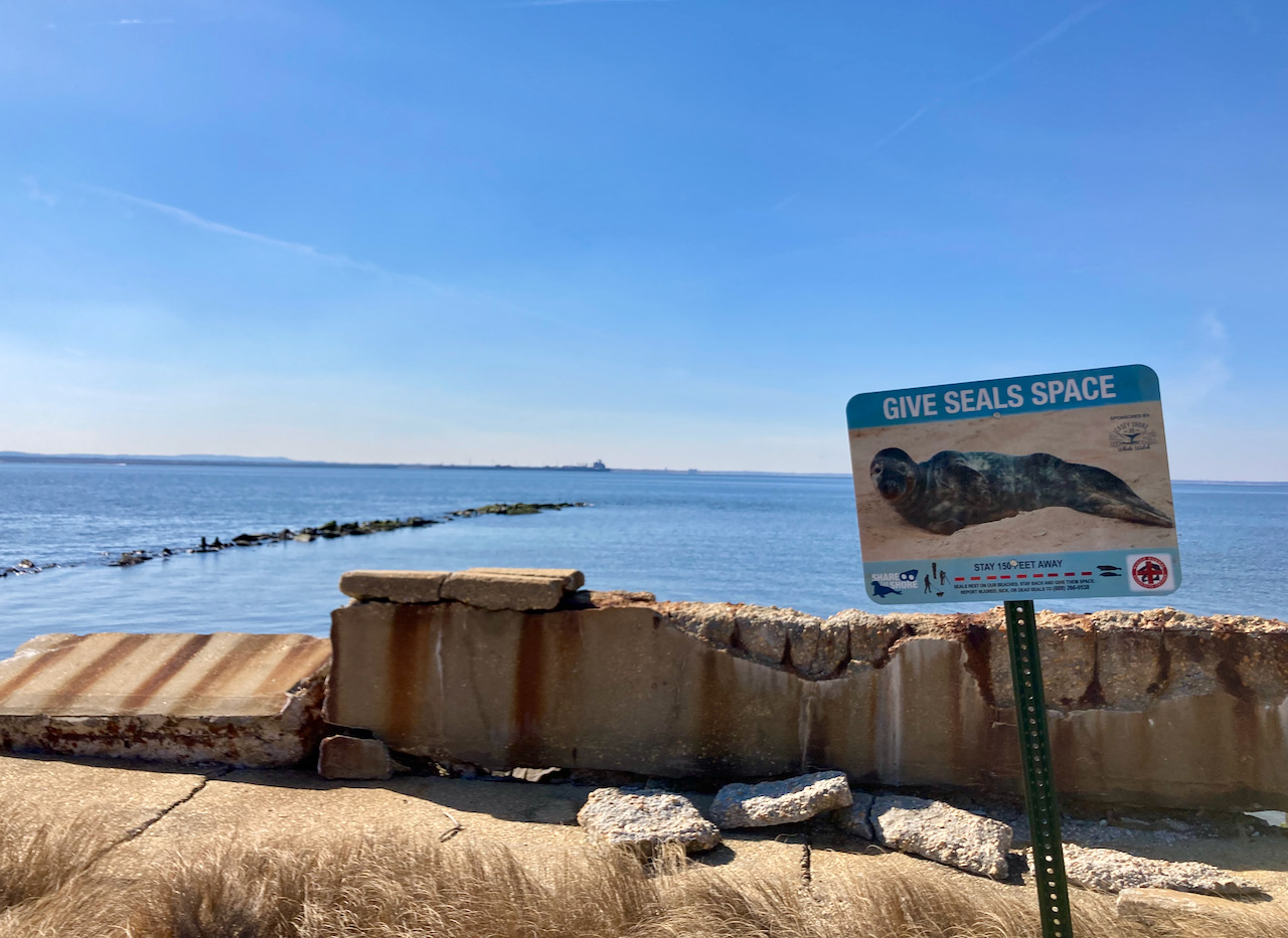 Sign by beach with picture of seal. Sign states GIVE SEALS SPACE.