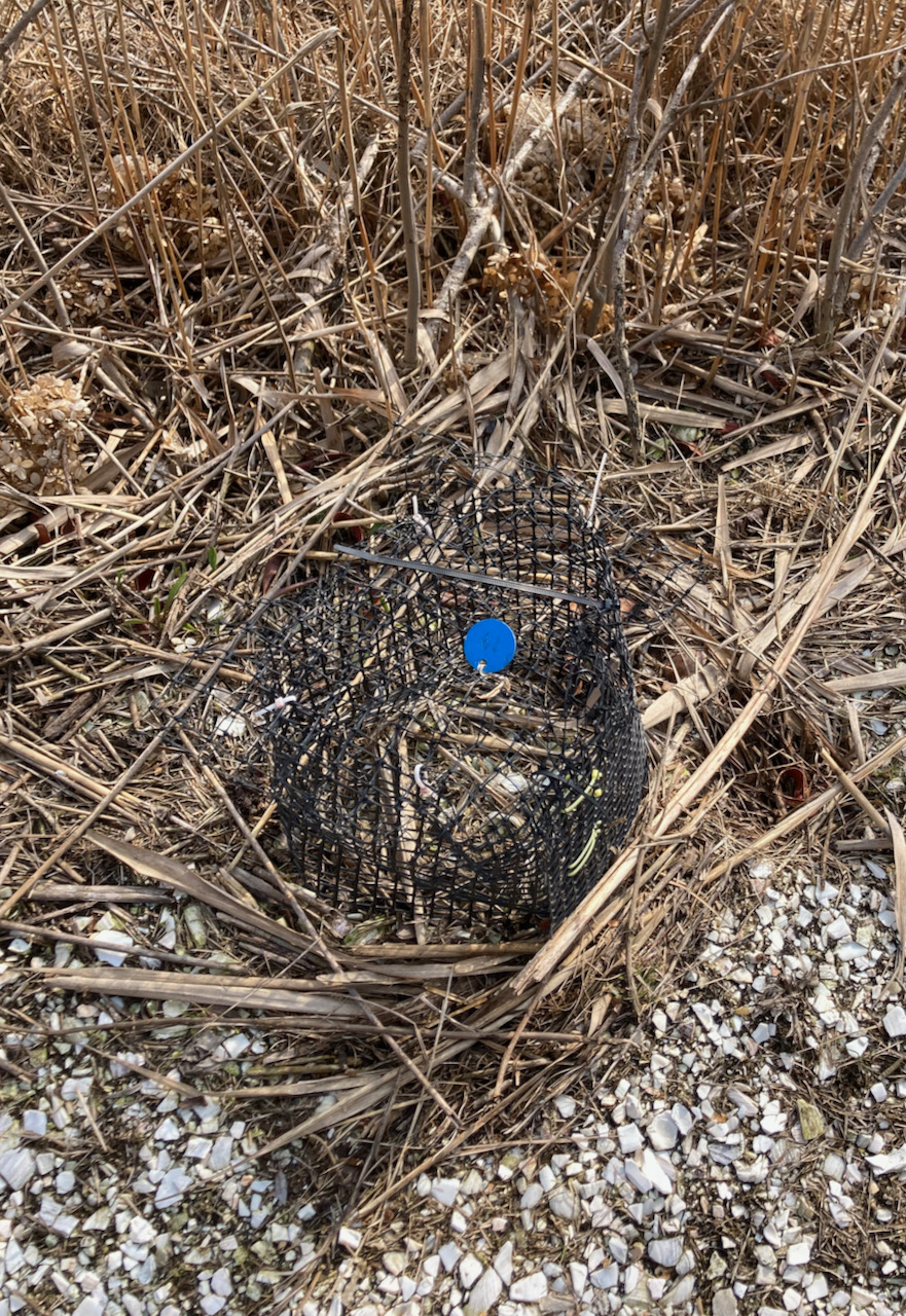 Black metal cage on ground.