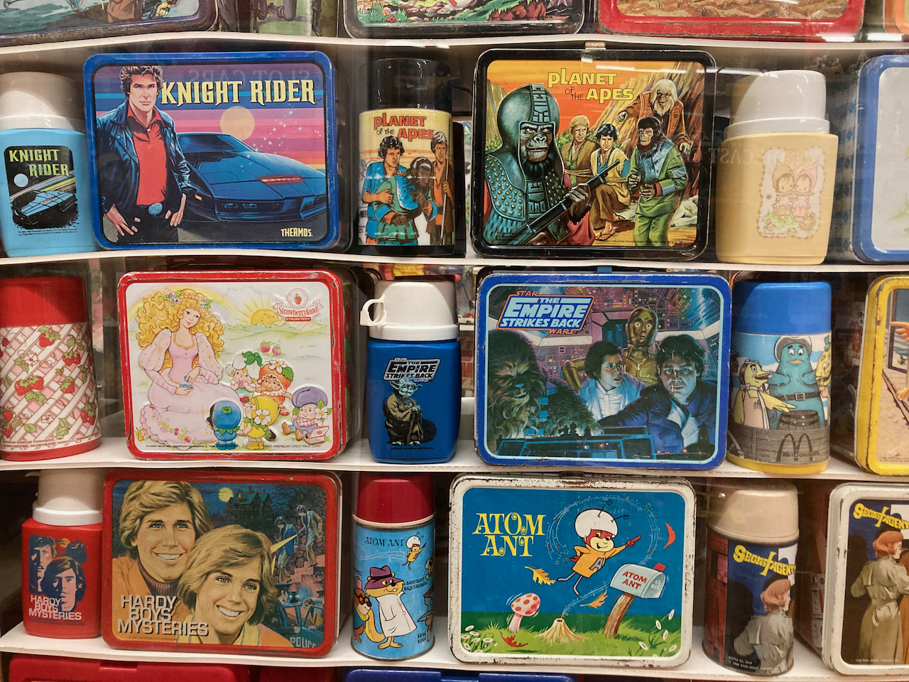 Lunchboxes and thermoses on display on shelves.