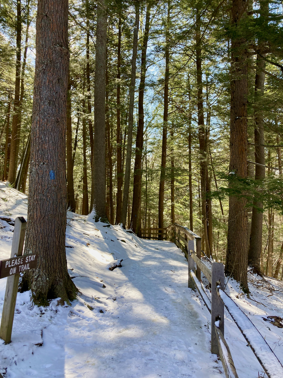 Quechee Gorge Trail.