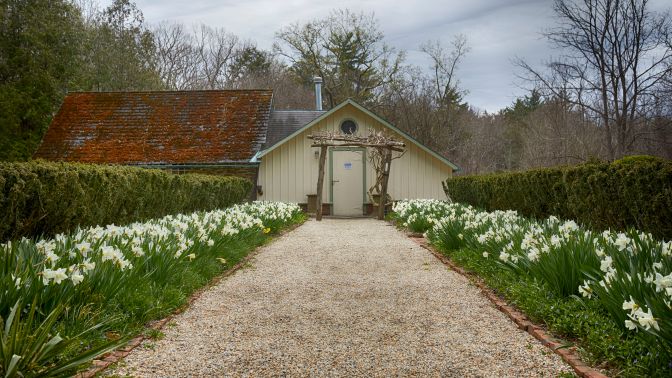 Flower-lined path in gardens.