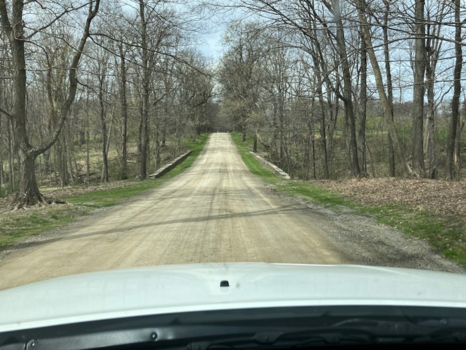 Tree-lined dirt road.