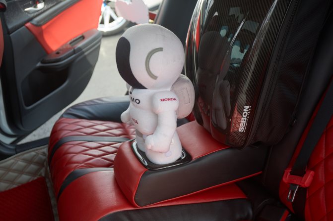 Doll of ASIMO on back seat of car.