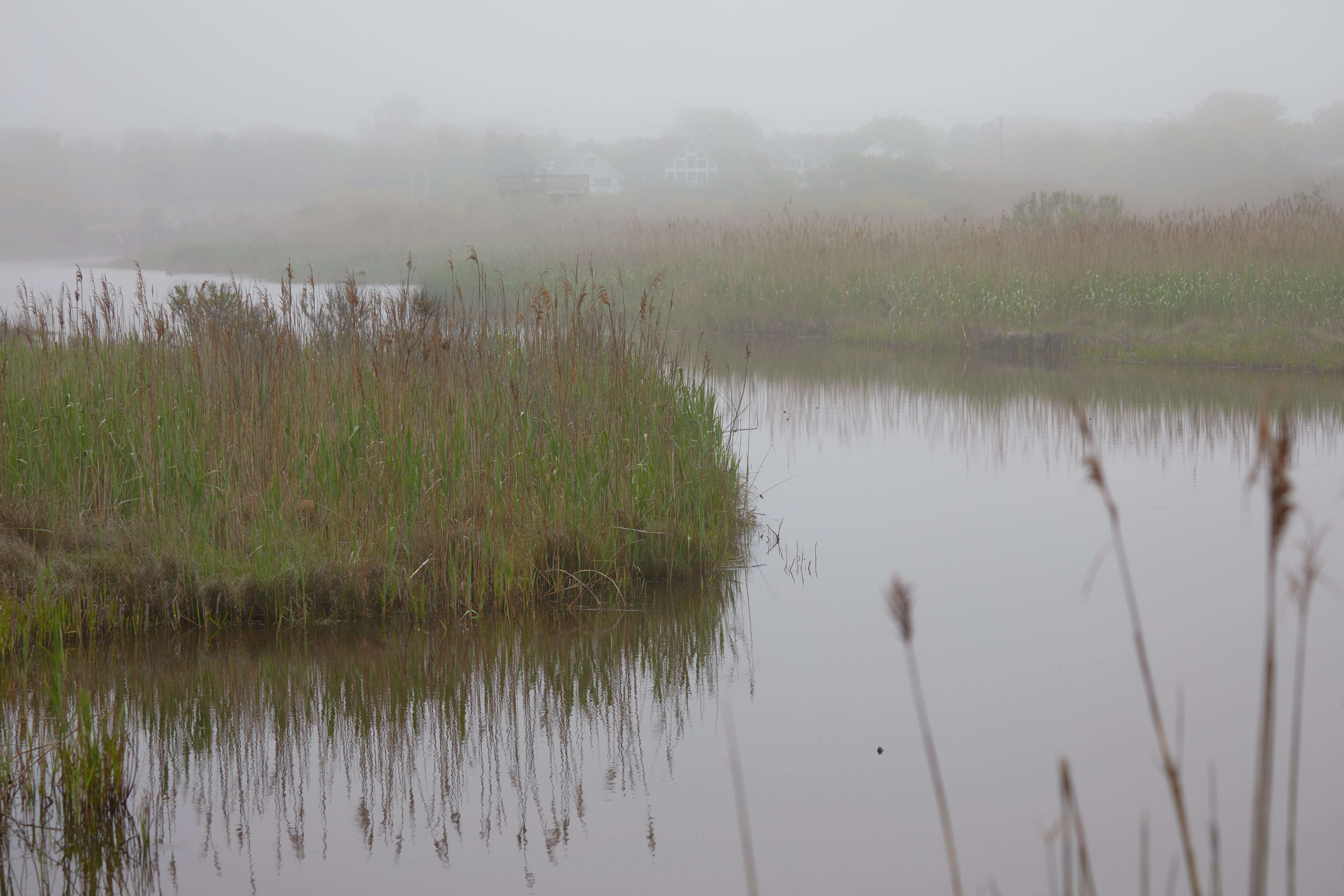 Foggy sky over meadows.