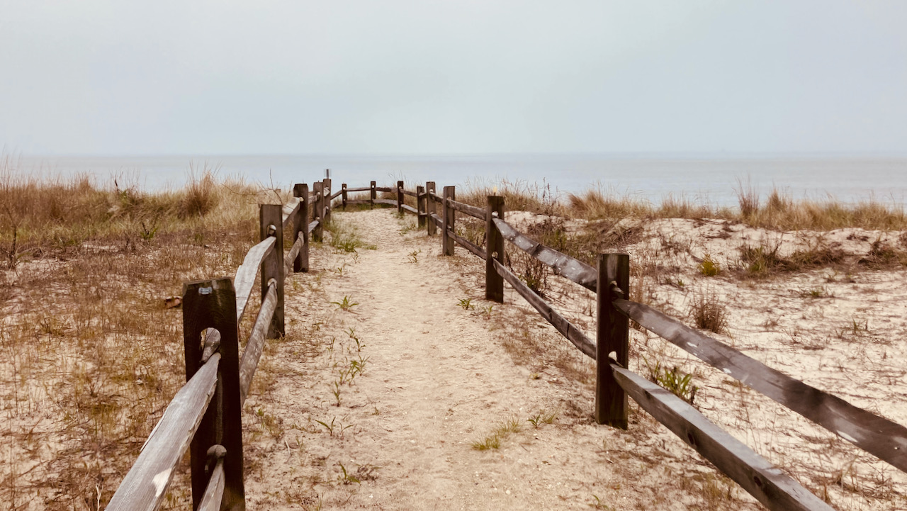 View of Delaware Bay on a cloudy day, with beach and wooden-railed path through dune in foreground.