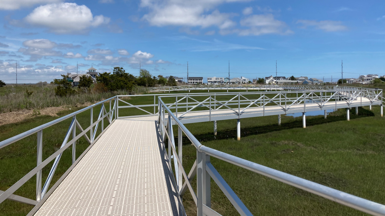 Boardwalk through Wetlands, empty of people.
