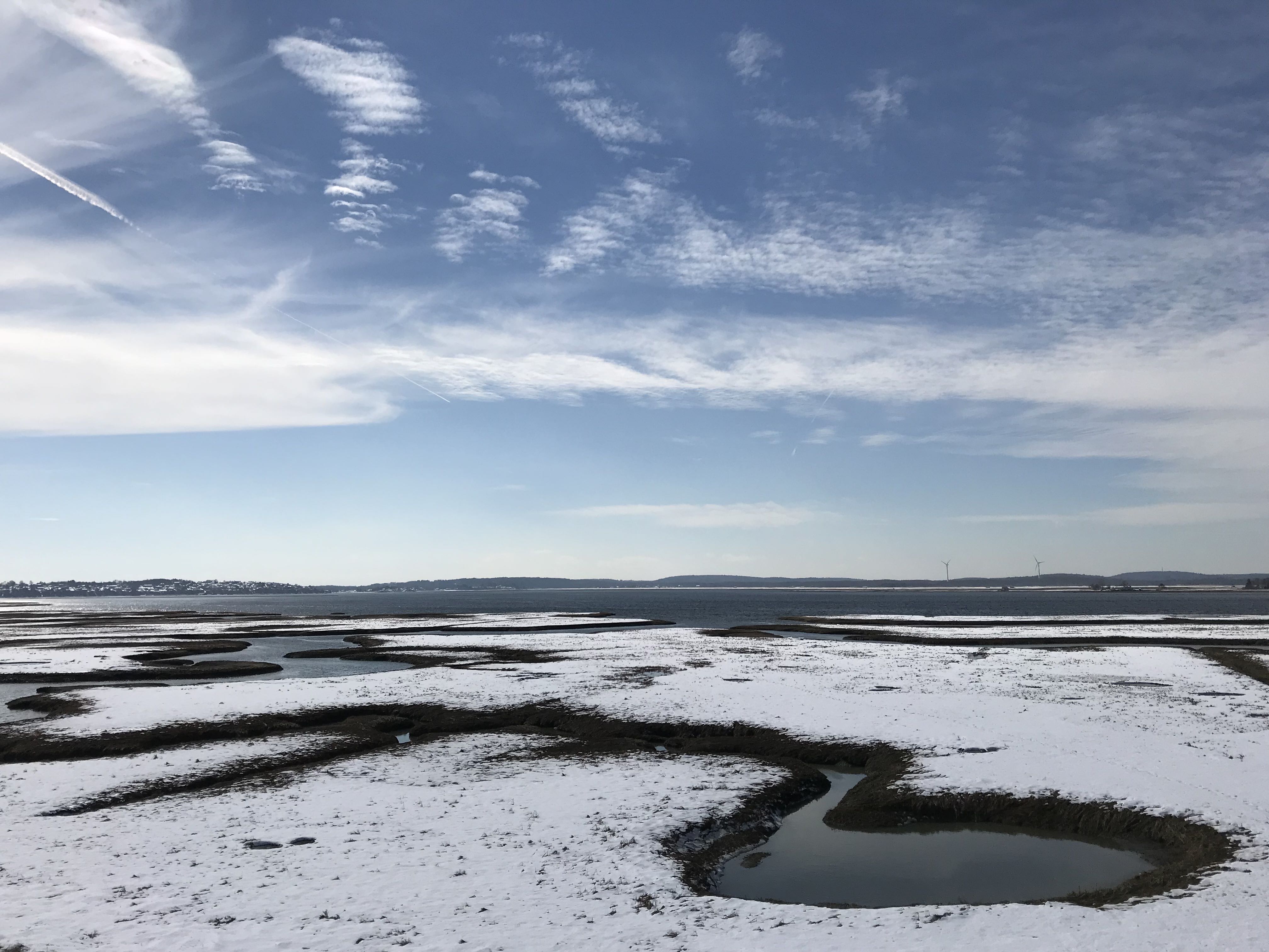 View of snow-covered plum island.