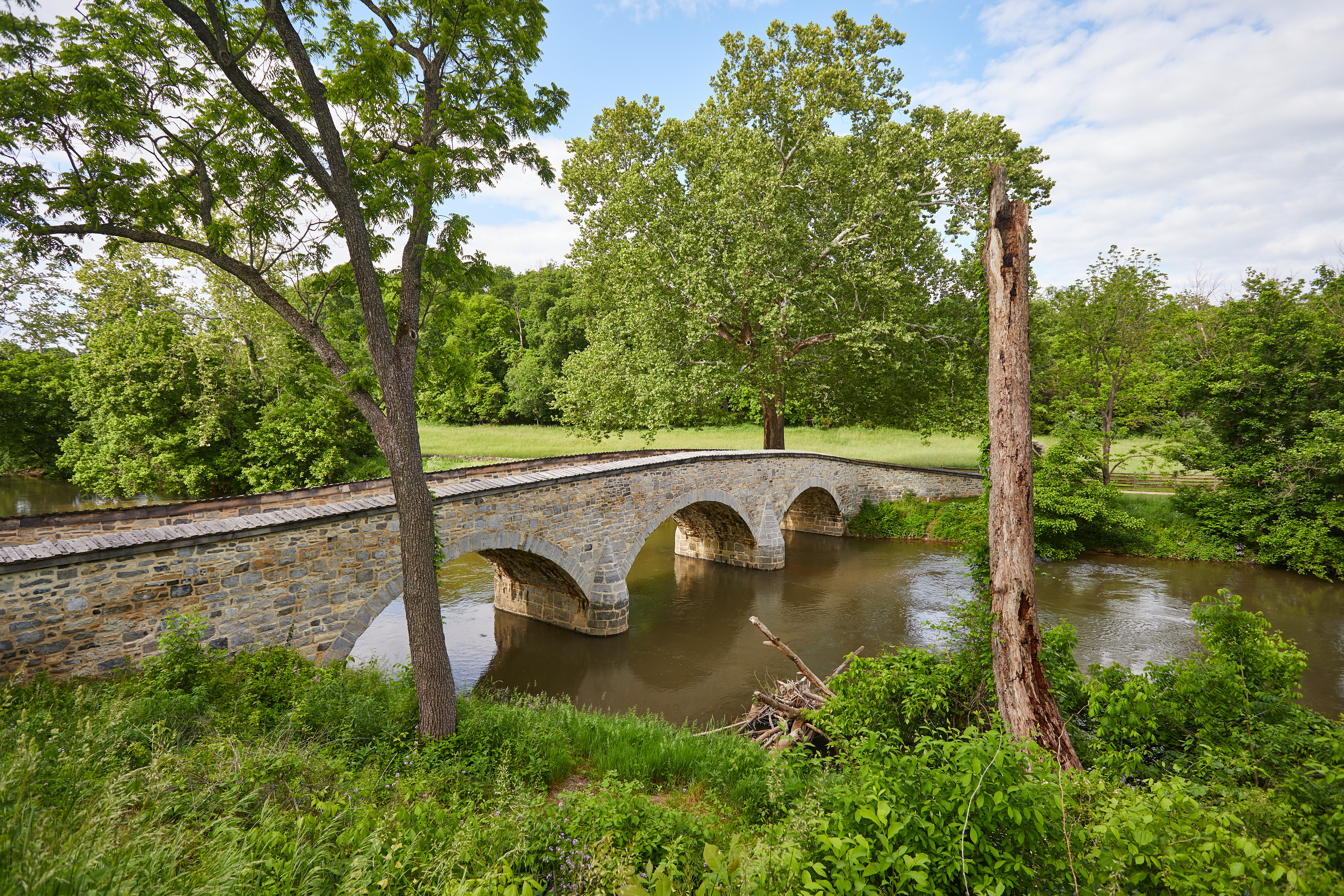View of Burnside Bridge.