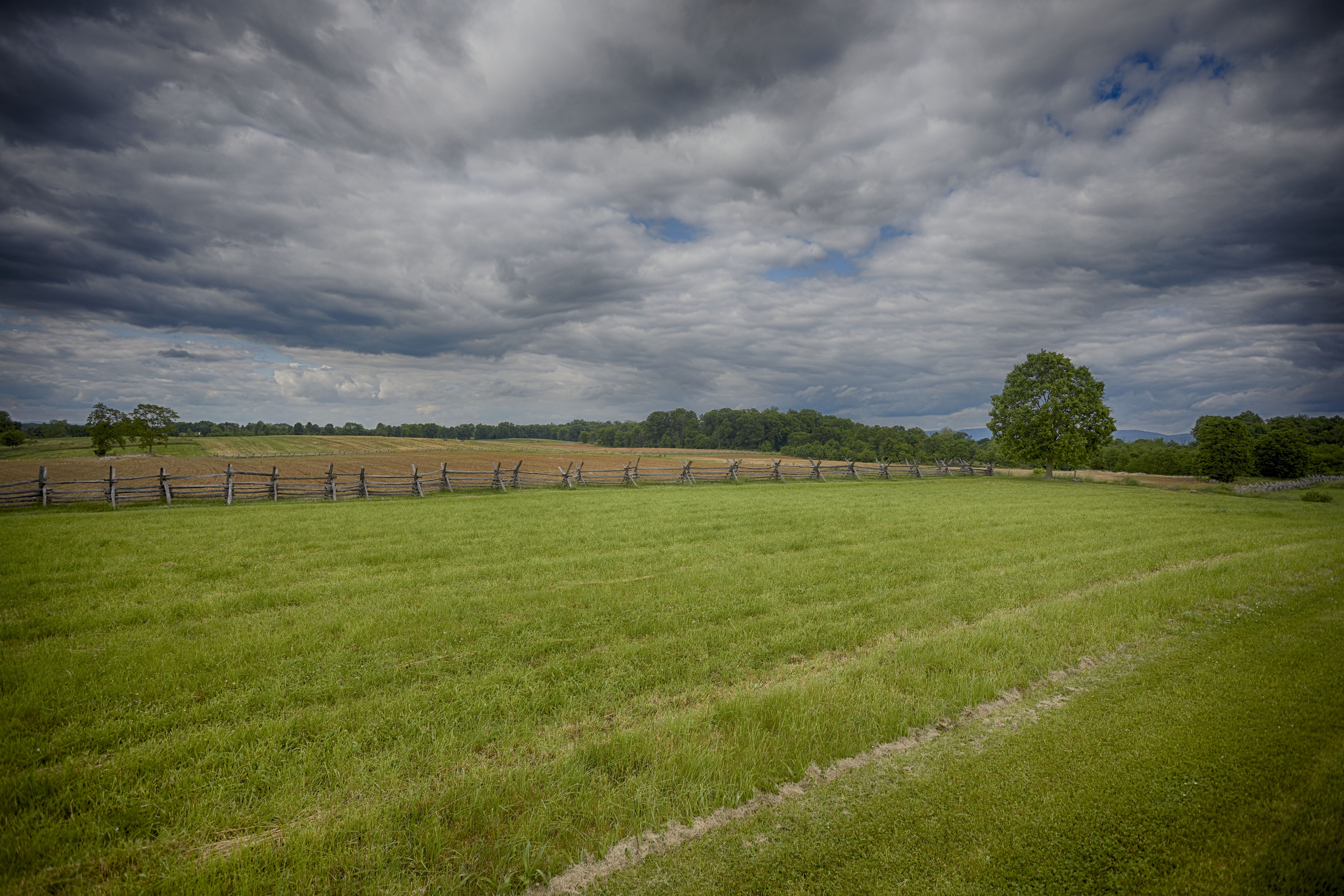 View of Miller's Cornfield.