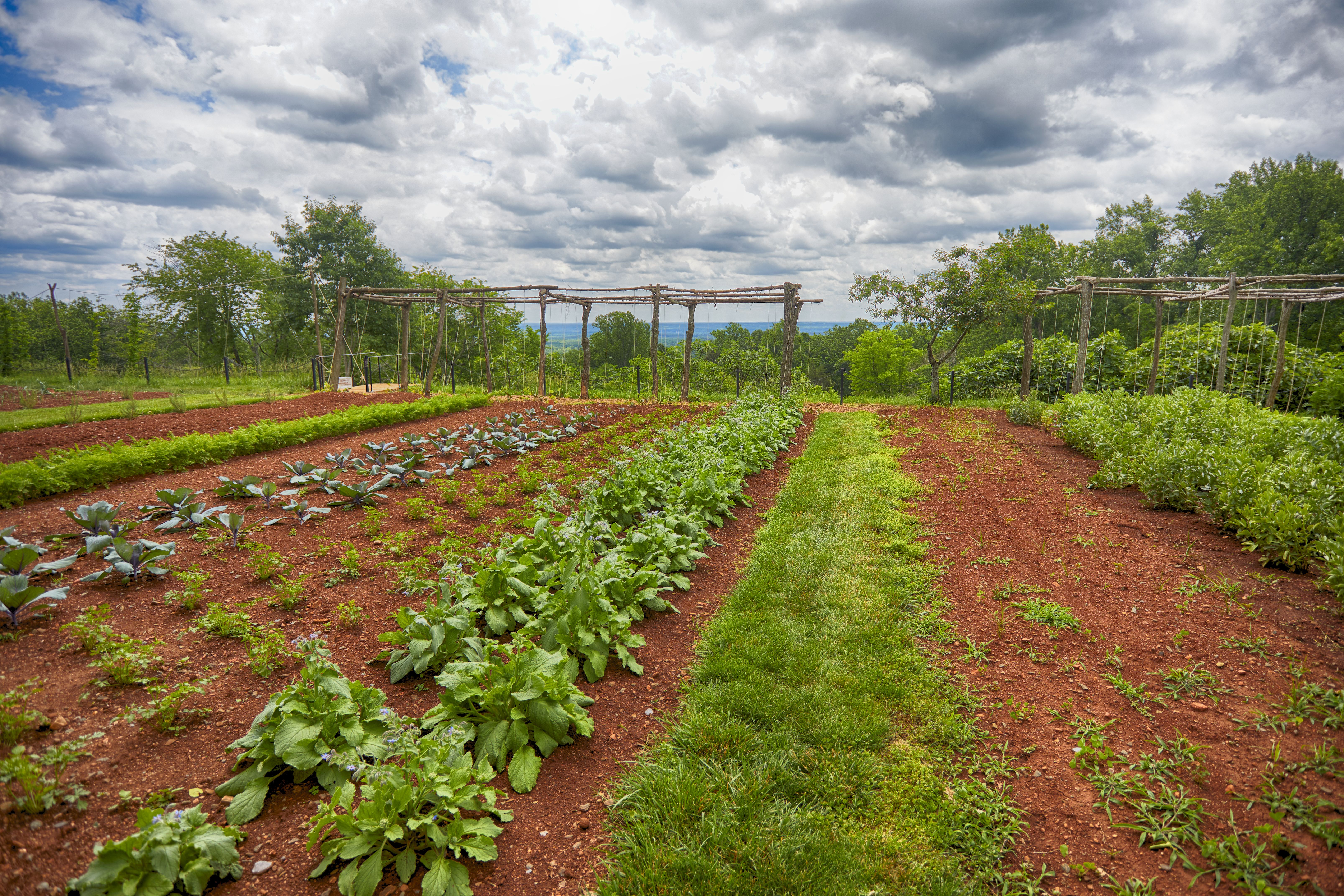 Gardens on grounds of Monticello.