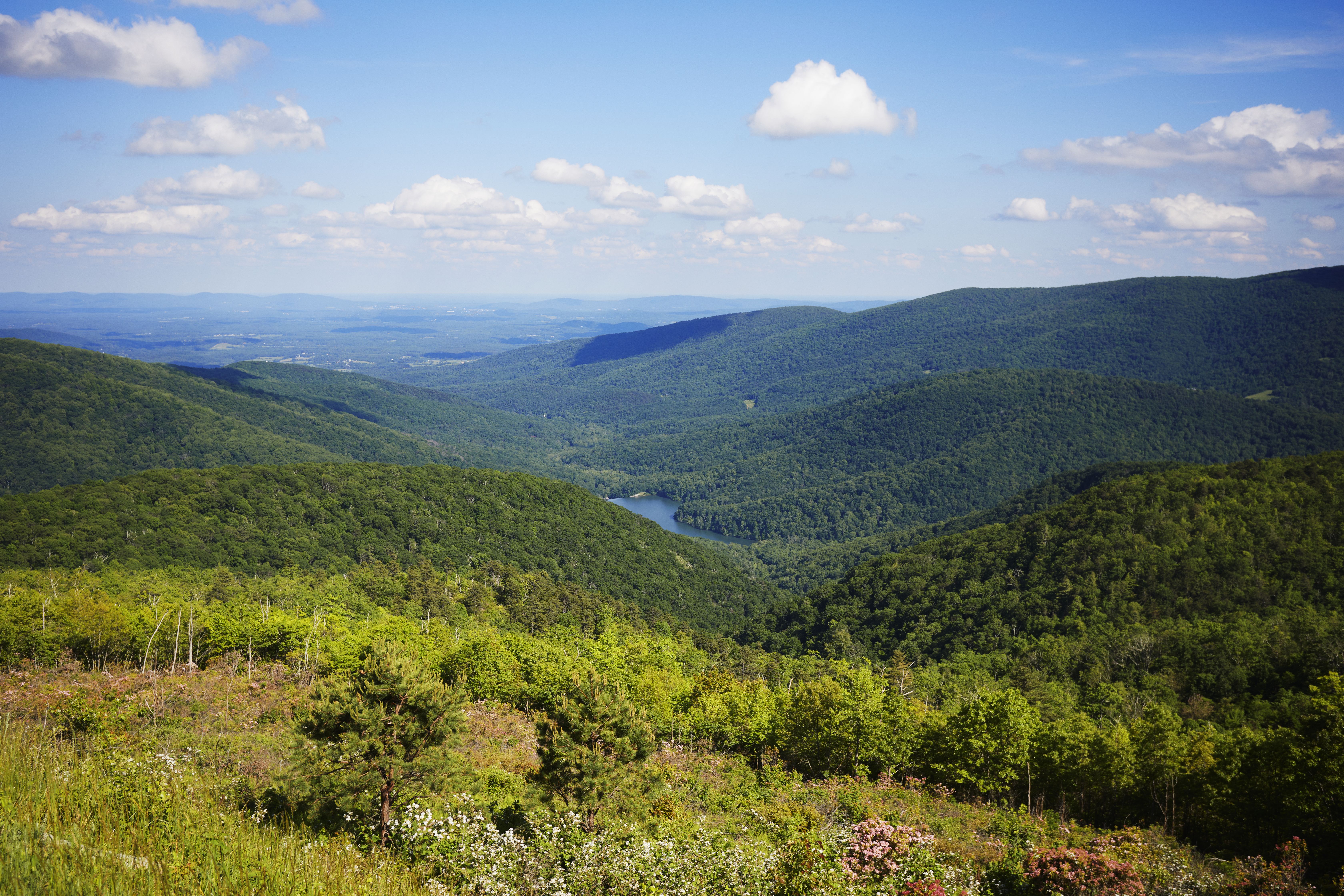 View of Blue Ridge Mountains.
