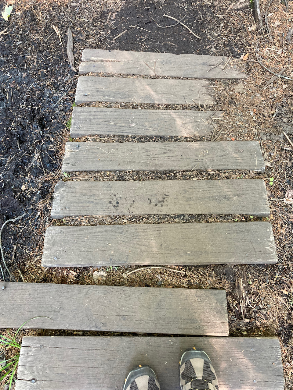 Small board bridge over dry ground.